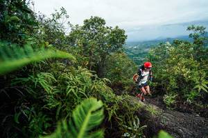 BIB: 
                            <button type="button" onclick="openModal(26196413)" class="btn btn-primary btn-sm float-right btn-popup" data-toggle="modal" data-target=".modal-high-quality">
                        <i class="fas fa-shopping-cart"></i> Add to Cart
                    </button>
                                            <button type="button" onclick="isThisMe(26196413, true)" class="btn btn-success btn-sm float-right btn-popup btn-isme hidden" data-toggle="tooltip" data-placement="bottom" title="นี่คือรูปของคุณใช่ไหม คลิกที่นี่เพื่อเอาเข้าอัลบั้ม">
                        <i class="fas fa-plus"></i> Add to album
                    </button>
                    <button type="button" onclick="isThisMe(26196413, false)" class="btn btn-warning btn-sm float-right btn-popup btn-isnotme hidden">
                        <i class="fas fa-ban"></i> Remove from album
                    </button>